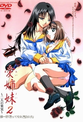 Ai Shimai 2: Futari no Kajitsu — portada