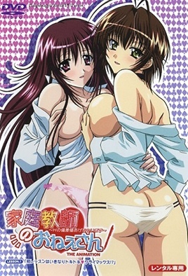 Kateikyoushi no Onee-san H no Hensachi Agechaimasu — portada