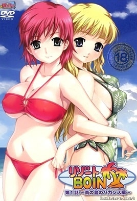 Resort Boin — portada