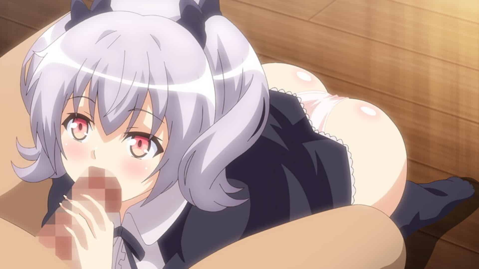 Night Tail