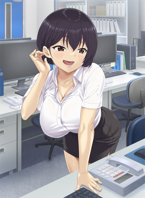 Akogare no Onna Joushi — portada